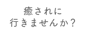 癒されに行きませんか？