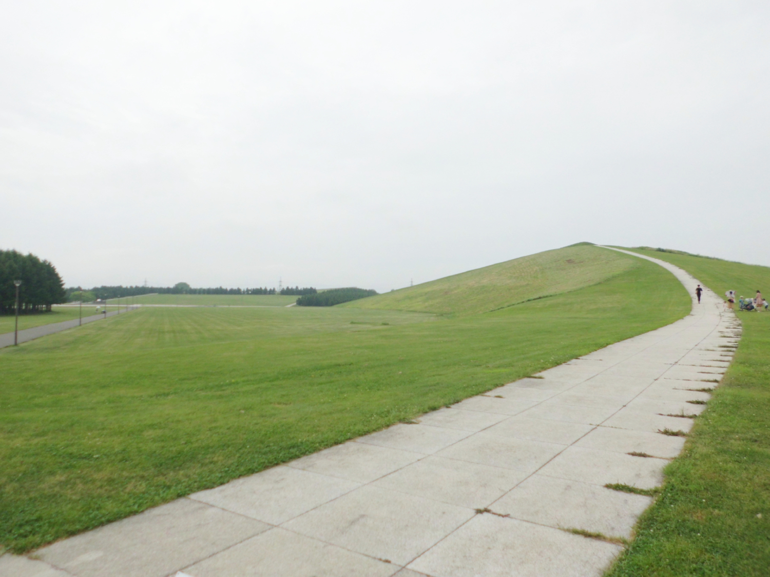 公園の風景（公園の写真：木々の間からピラミッド型の大きな建築物が見える）