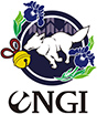 株式会社ENGI
