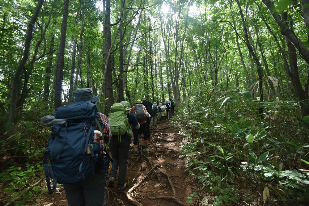 登山ガイドツアー。林の中を一列になって登る様子