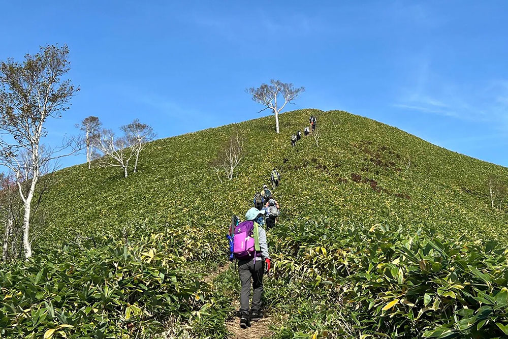 登山ガイドツアー。山頂に向け登山する様子