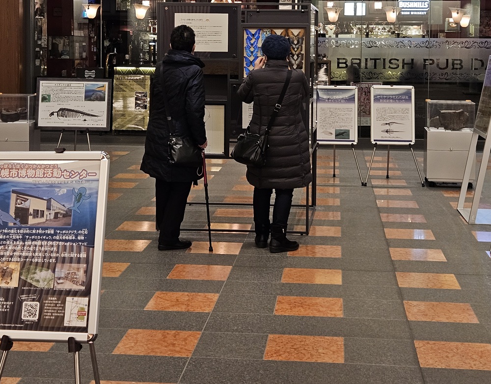 日本生命札幌ビルで開催した「札幌市博物館活動センターコレクション出張展示ーサッポリウムー」展の様子