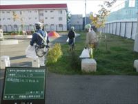 pic011_2022