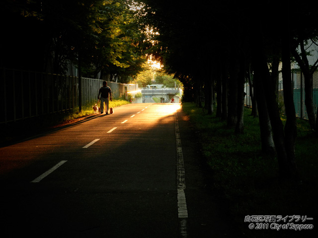 画像：夕暮れ時