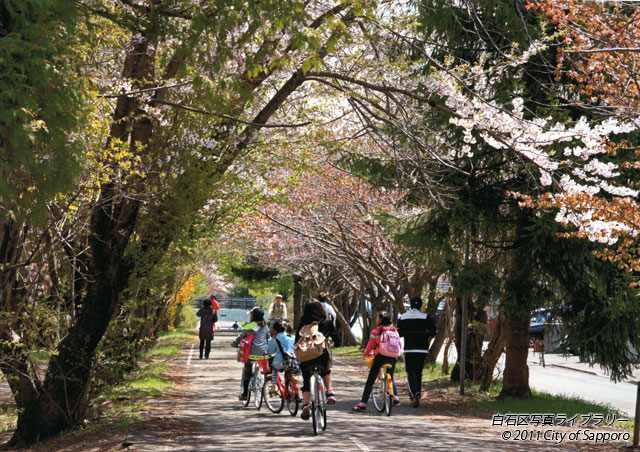 画像：サイクリング日和