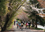 サイクリング日和