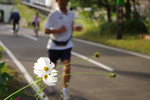 初秋の風