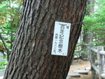 白石神社　百年記念樹