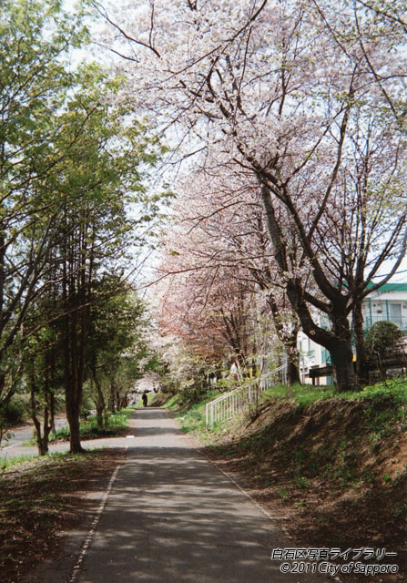 画像：薄紅の緑風