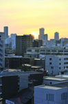 BOX　TOWN　SUNSET