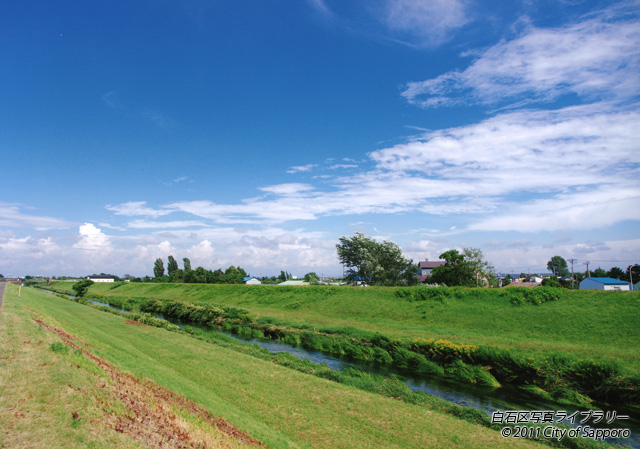 画像：夏の米里川緑地