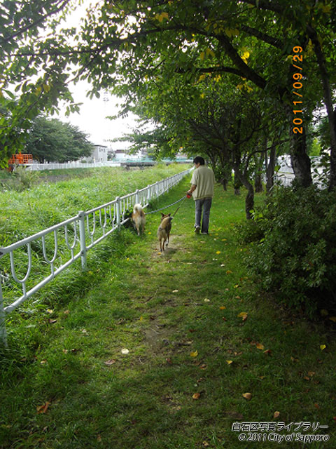 画像：愛犬と午後のひとときを