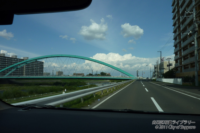 画像：秋空に立つエメラルドグリーン