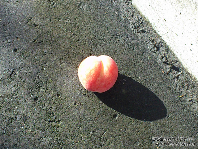画像：桃ってなんだか幸せ