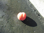 桃ってなんだか幸せ