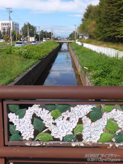 画像：川下公園橋の風景