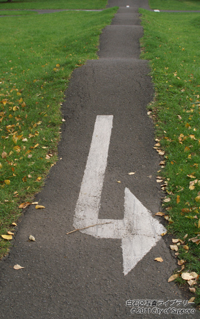 画像：だんだん道