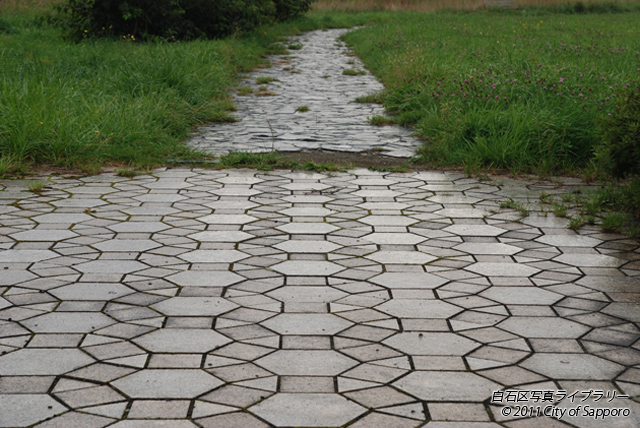 画像：網模様の遊歩道