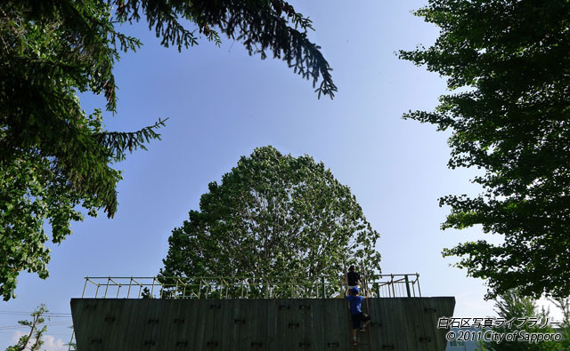 画像：公園は子どもの天国