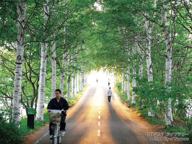 画像：光ノ路