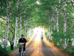 光ノ路