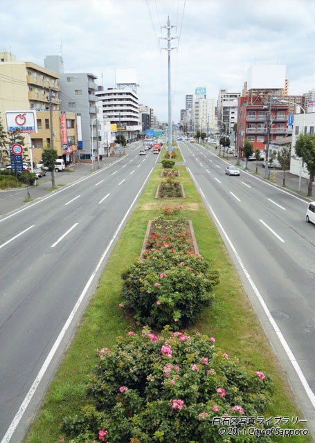 画像：ばらの道