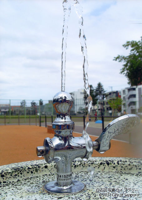 画像：夏の思い出
