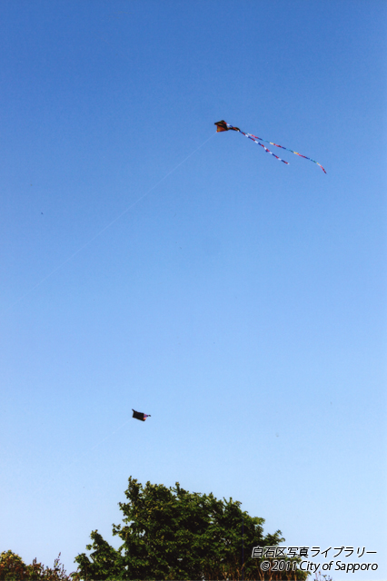 画像：青い空に舞う（飛ぶ）