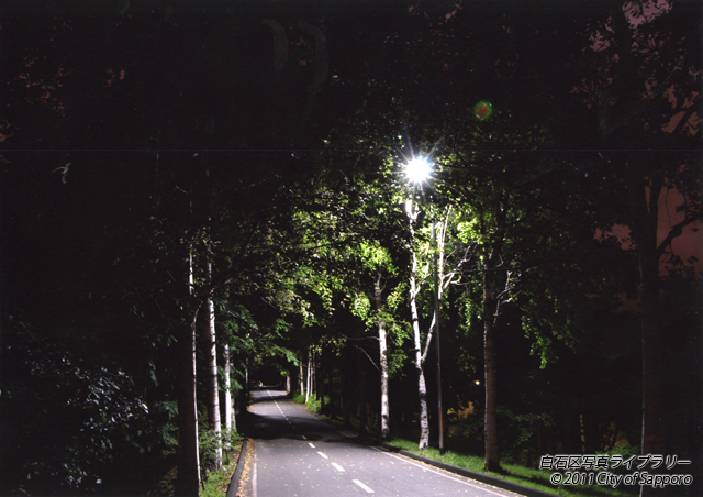 画像：夜のサイクリングロード