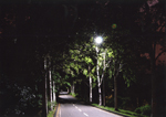 夜のサイクリングロード