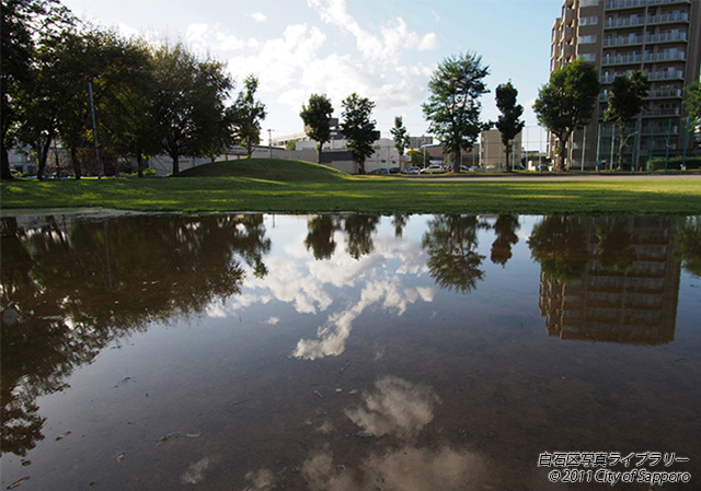 画像：雨上がりの東札幌公園