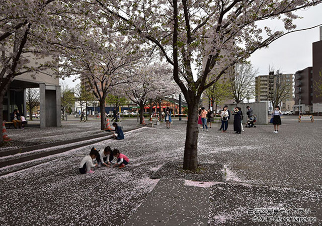 画像：桜の木の下で