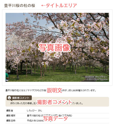 写真詳細画面